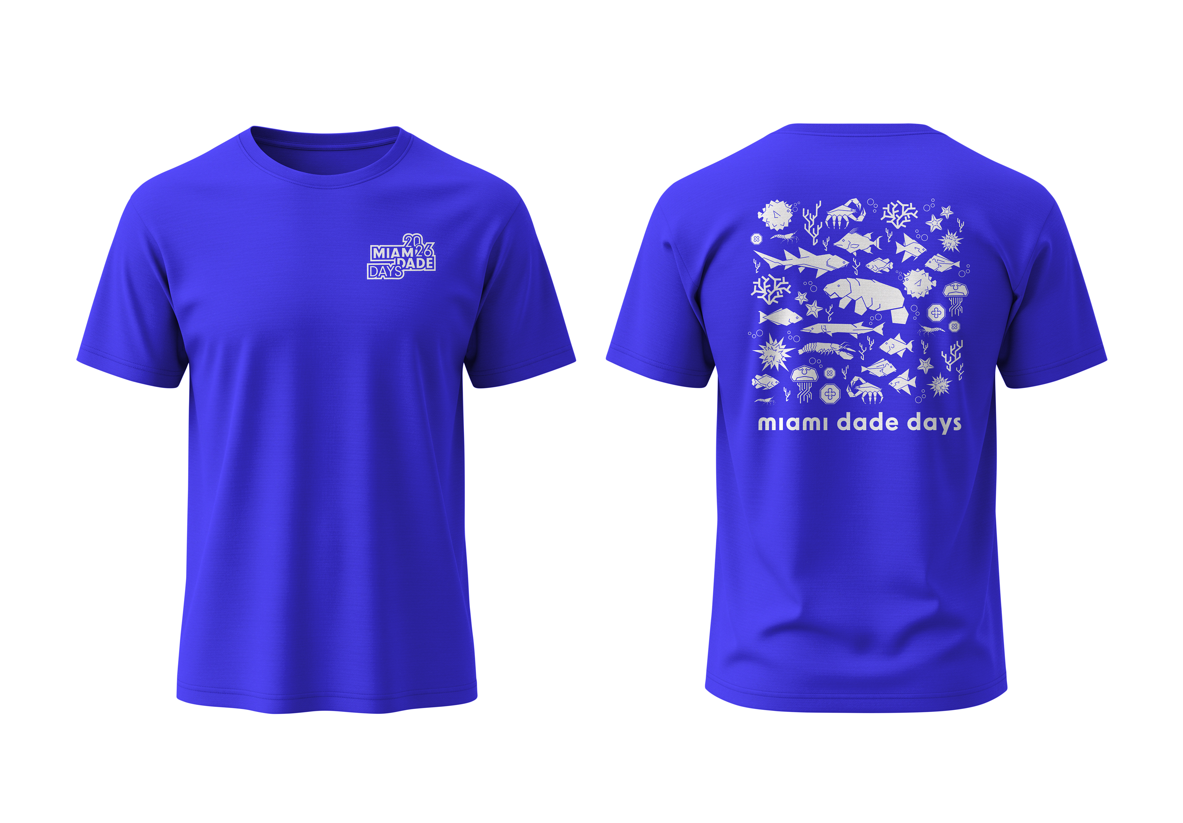 Project 7 thumbnail 3